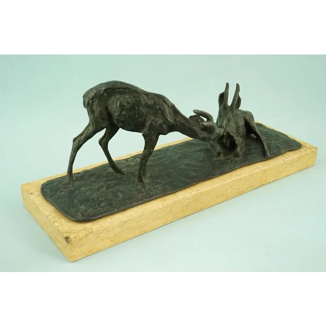 20th Century Bronze Chamois on a Marble Base by Guido Cacciapuoti, Naples, Italy For Sale - Image 8 of 18