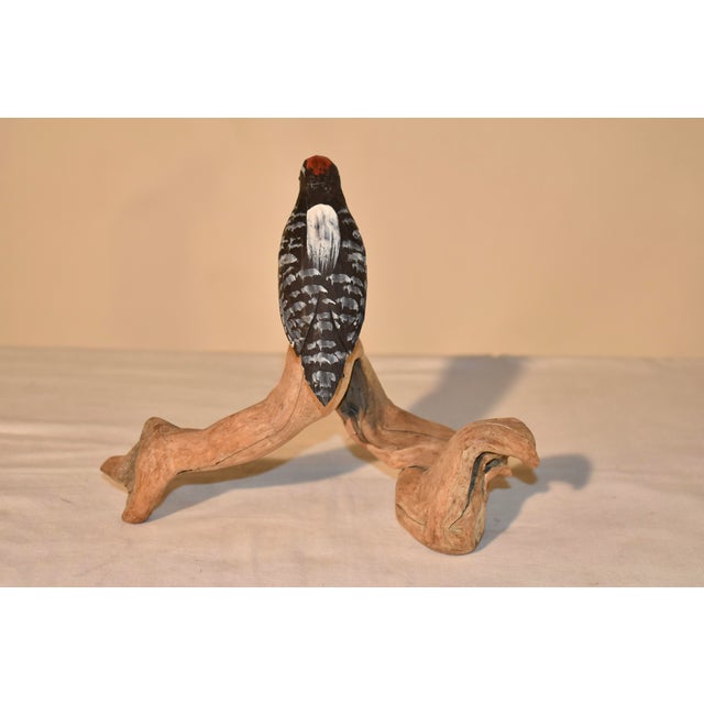 Nc Hand-Carving of a Woodpecker Driftwood, Circa 1960 For Sale In Greensboro - Image 6 of 6