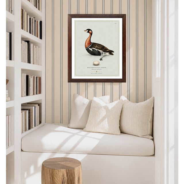 William Lewin 1789 Waterbirds Fine Art Gallery Board Print - The Red Breasted Goose For Sale - Image 9 of 11