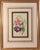 English Lessons From the Vegetable World: Robert Mackenzie Stark Botanical Prints 1858 For Sale - Image 3 of 13