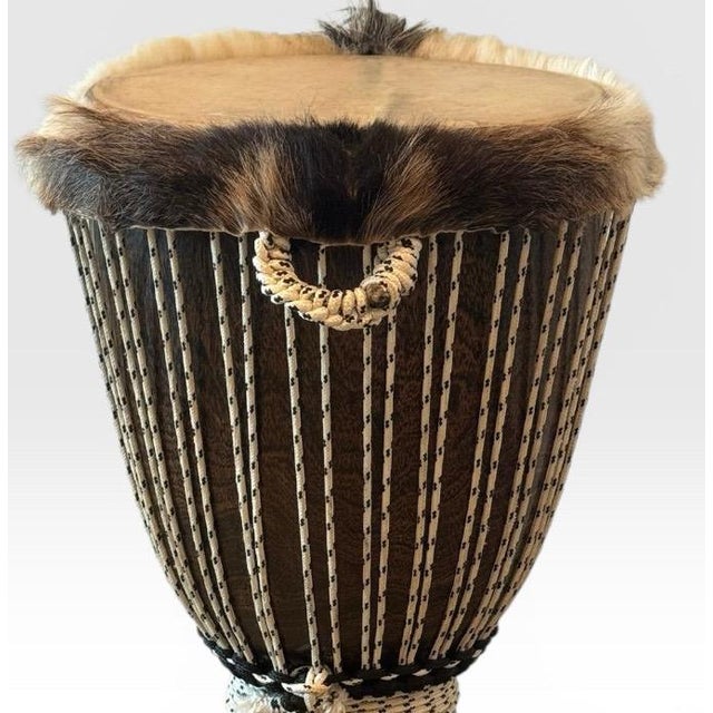 2000 - 2009 Professional West African Djembe Hand Carved Baobab Tree Drum With Case For Sale - Image 5 of 7