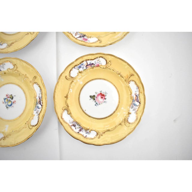 Ceramic Set of 9 Hand-Painted Sevres-Style Porcelain Small Plates With Flowers & Birds For Sale - Image 7 of 13