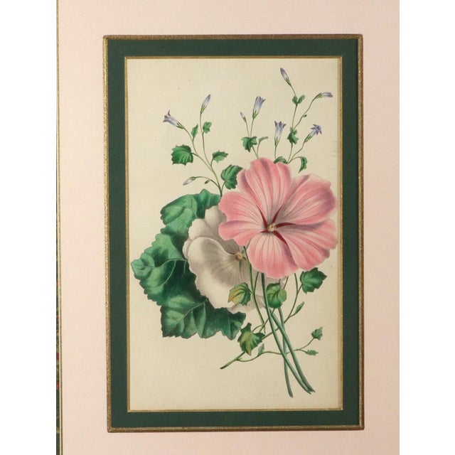 Lessons From the Vegetable World: Robert Mackenzie Stark Botanical Prints 1858 For Sale - Image 10 of 13
