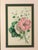 Lessons From the Vegetable World: Robert Mackenzie Stark Botanical Prints 1858 For Sale - Image 10 of 13
