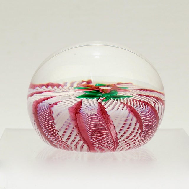 Paul Ysart Poinsettia on a Pink & White Latticino Ground Glass Paperweight For Sale In Philadelphia - Image 6 of 10