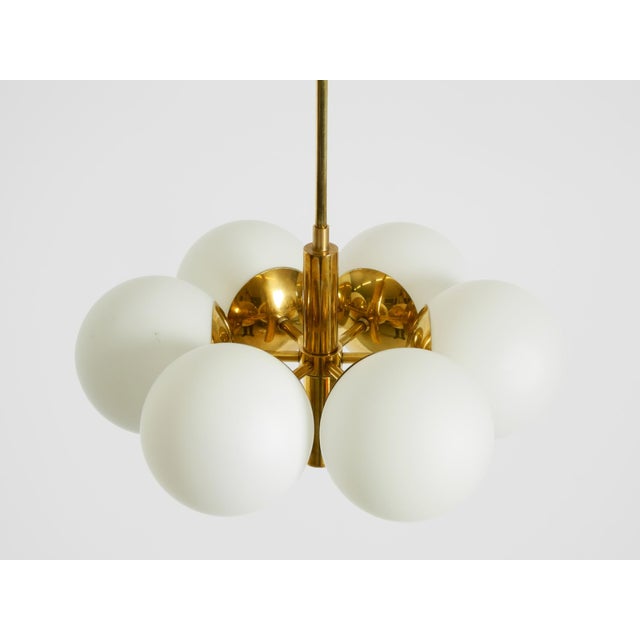 Mid-Century Modern Vintage Brass Pendant Lamp with Six Opal Glass Shades from Kaiser Leuchten, 1960s For Sale - Image 3 of 16