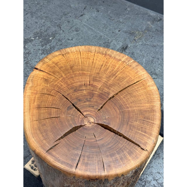 Organic Modern Live Edge Tree Side Table/Stool For Sale In San Francisco - Image 6 of 12