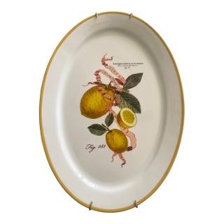 Williams-Sonoma French Country “Limon Incomparabilis” Serving Platter 19”x13.5” For Sale