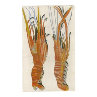 Georg Wolfgang Knorr – Lobsters & Crustaceans – 18th-Century Engraving with Modern Hand Coloring – Plate I For Sale