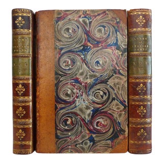 Early 19th Century Leather Volume Set, Henry Stebbing's Lives of the Italian Poets - 3 Books For Sale