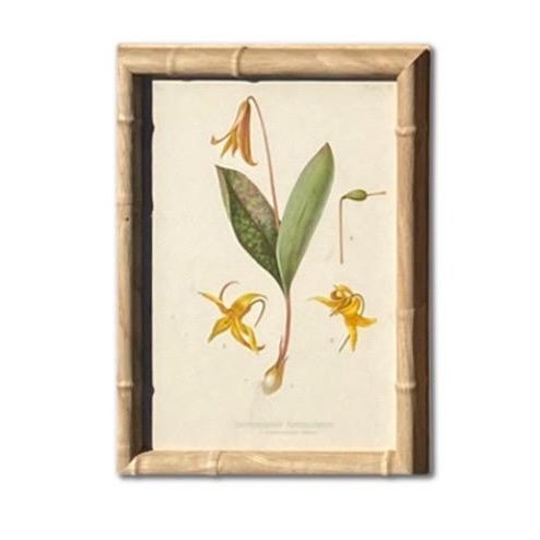 Louis Prang & Company of Boston set the gold standard for American color printing in the 19th century—and collectors still...