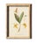 Louis Prang & Company of Boston set the gold standard for American color printing in the 19th century—and collectors still...