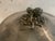 Metal Empire-Style Silver-Plated Covered Vegetable Dish by Silversmith Plasait, 20th Century For Sale - Image 7 of 9