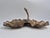 Decorative and functional leaf-shaped bowl in solid brass, France early 1900s. Whimsical Art Nouveau style with flowing...