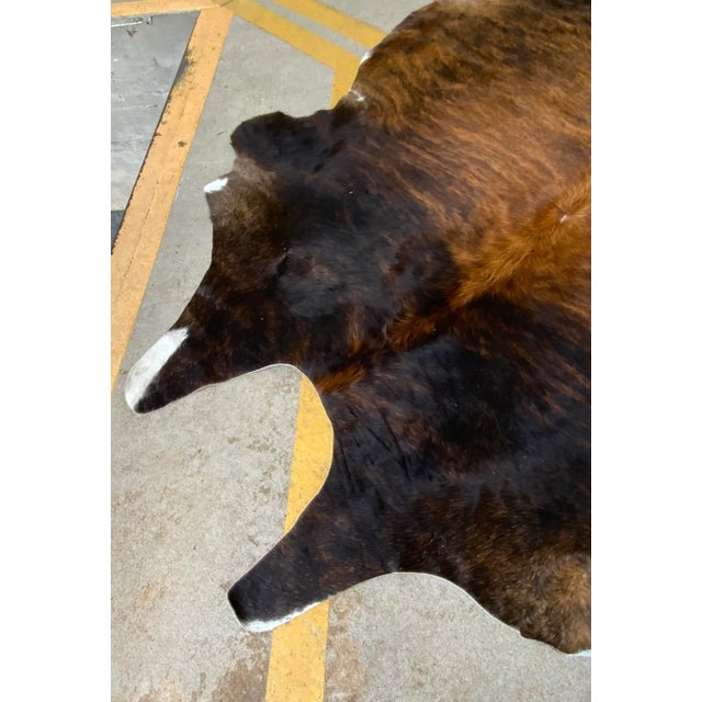 Modern Brindle Hair on Hide For Sale In Atlanta - Image 6 of 6