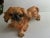 Brown Mid 20th Century Large Goebel Pekingese Dog Figurine, West Germany For Sale - Image 8 of 11