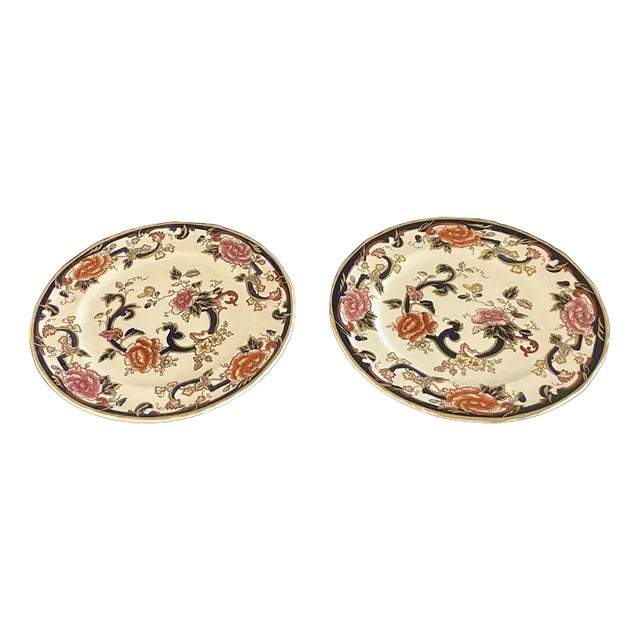Hand Painted Masons Ironstone Plates, 1920s, Set of 2 For Sale