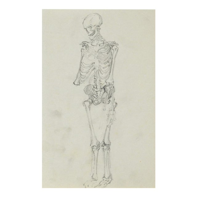 J. Pieniążek, Sketch of the Human Skeletan, 1920, Pencil, in Flawless conditions. Designed 1920 to 1949 This piece has an...