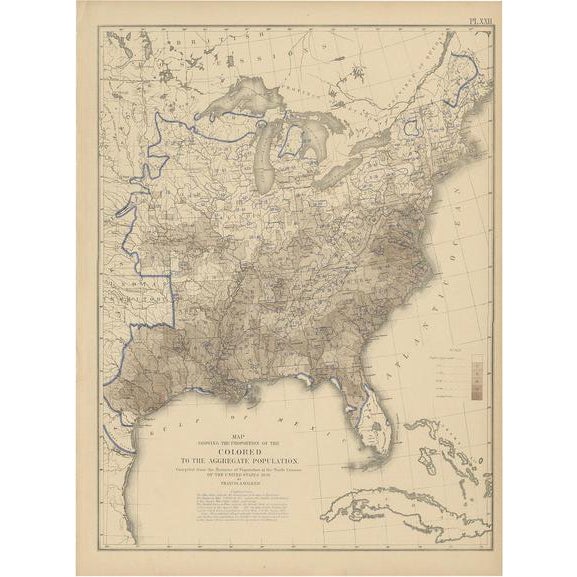 Antique Chart of the US Population Proportion, 1874 For Sale