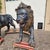 Late 19th Century Large Bronze Sculptures of Lions, 1870, Set of 2 For Sale - Image 5 of 18
