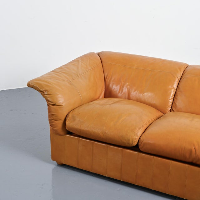 Animal Skin Leather Loto Sofas by Luigi Massoni for Poltrona Frau, Italy, 1976, Set of 2 For Sale - Image 7 of 18