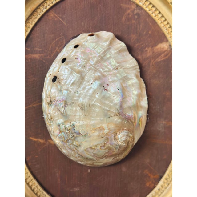 Antique Shell Art For Sale - Image 4 of 7