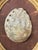 Antique Shell Art For Sale - Image 4 of 7
