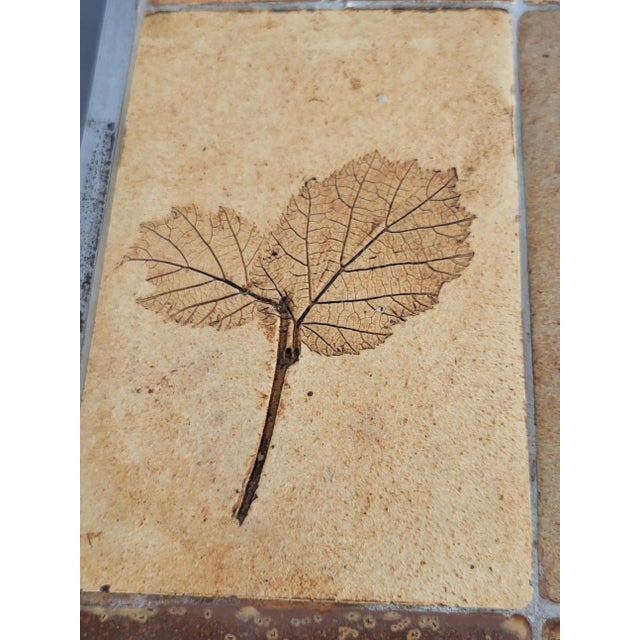 French Riviera Herbarium Coffee Table by Roger Capron, 1970 For Sale - Image 9 of 18