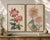 Crimson & Blush Diptych – Vintage Japanese Botanical Prints (Set of 2), 8" X 12" For Sale In Buffalo - Image 6 of 7