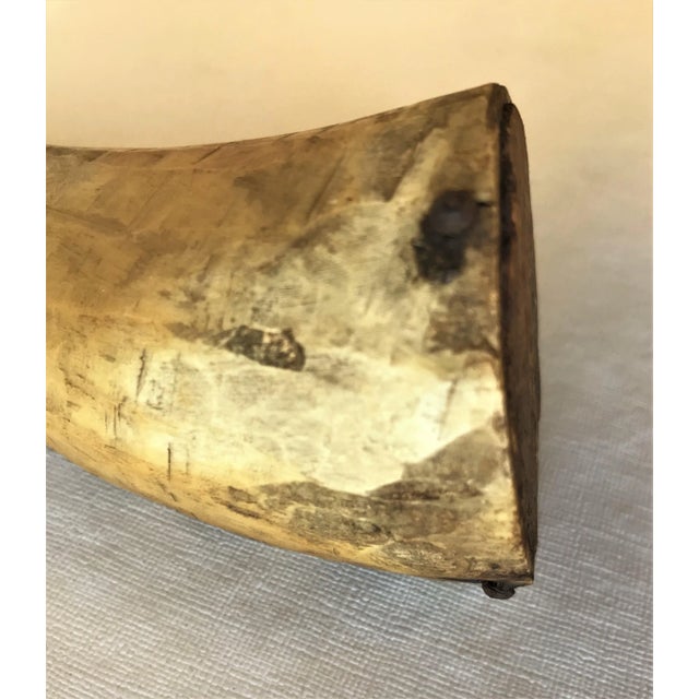 Wood Early 19th Century Gun Powder Horn With Original Carved Pin For Sale - Image 7 of 12