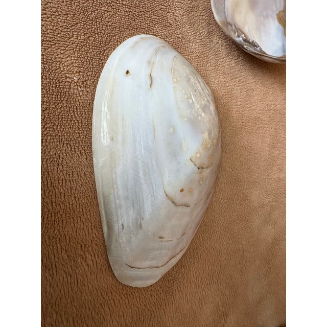 Mid 20th Century Bamboo Silver Clam Shell Mother of Pearl 7 Piece Caviar Set For Sale - Image 4 of 11