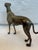 Metal 1940s Cast Iron Saluki For Sale - Image 7 of 12