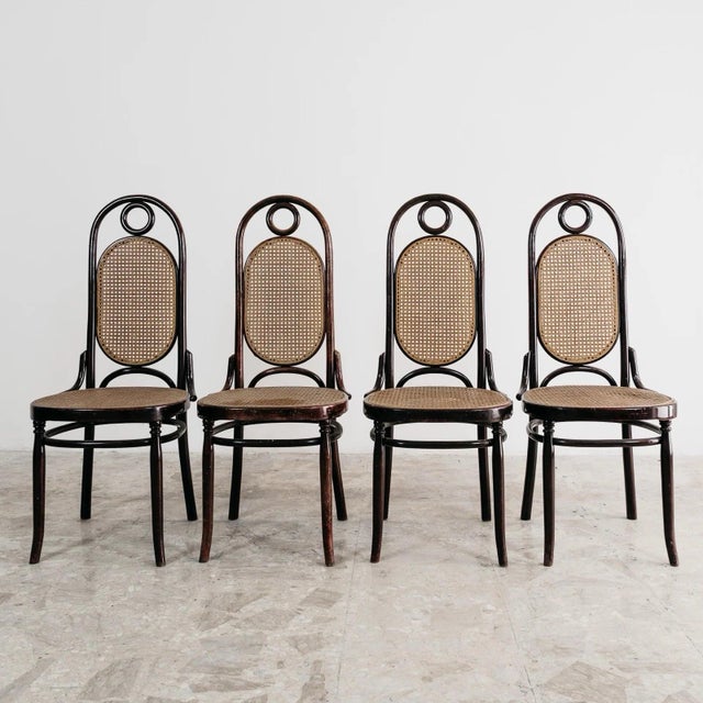 Vintage Four-Chair Dining Set from Sautto & Liberale, 1950s, Set of 4, in Good conditions. Designed 1950 to 1959 This...
