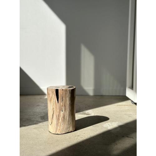 White Side Table in White Petrified Wood with Black Spots For Sale - Image 8 of 18