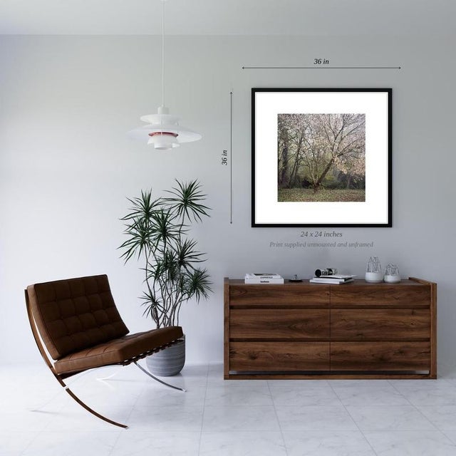 Contemporary Paul Cooklin, Photograph, Edition of 50 For Sale - Image 3 of 5