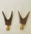 Rustic 1940s Black Forest Deer Antlers Lamp Finials - a Pair For Sale - Image 3 of 3