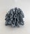Shell Natural Blue Coral Specimen Coastal Decor For Sale - Image 7 of 7