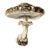 'Ringed Milk-Cap' (Lactarius Circellatus) - Mushroom Botanical Print This fine art print features a beautifully detailed...