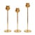 Brass Tulip Candle Holders by Pierre Forssell for Skultuna, 1970s, Set of 3 For Sale