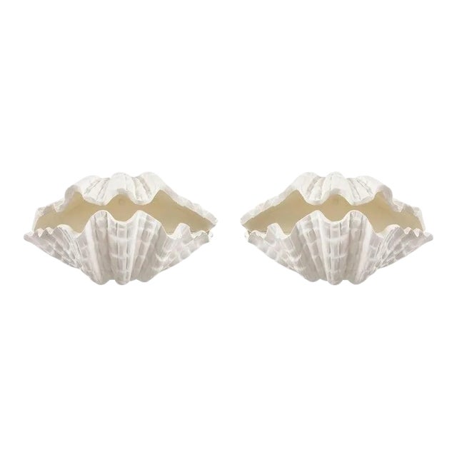 Bespoke Coquillage Plaster Sconces - a Pair For Sale