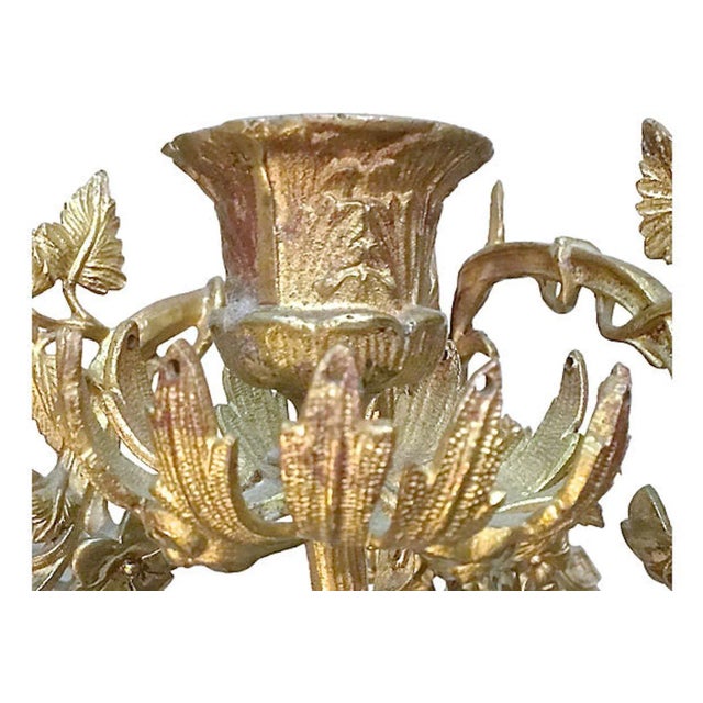Antique Brass Acanthus Leaf & Floral Sconces - a Pair For Sale - Image 9 of 10