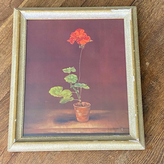 Framed Print "Geranium in a Pot" by Marcus Jacobi For Sale - Image 4 of 12