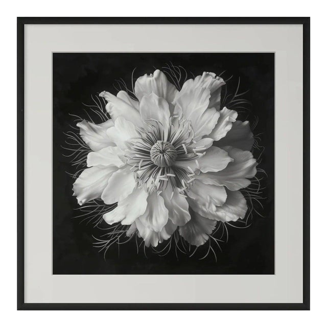 2020s Nigella Damascena Flower - Black and White Botanical Photography | Unframed For Sale - Image 5 of 5