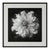 2020s Nigella Damascena Flower - Black and White Botanical Photography | Unframed For Sale - Image 5 of 5