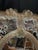 Antique Murano Glass Mirror, 1950s For Sale - Image 3 of 7