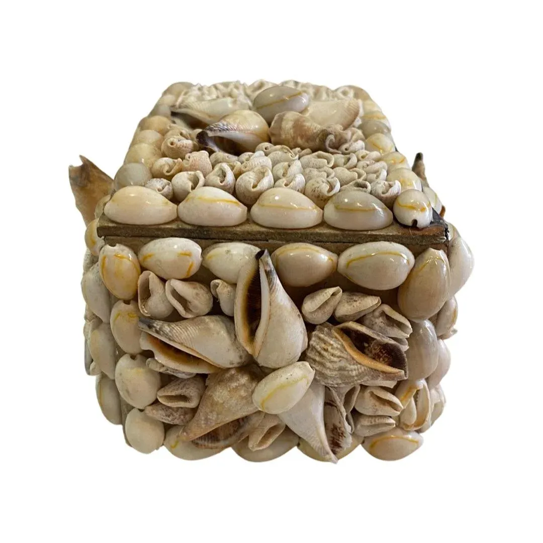 Primitives by Kathy A Handful Of Shells And A Headful Of Memories Home Décor Shell Holder