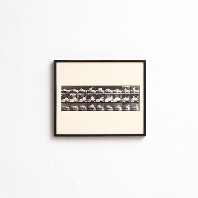 Explore the pioneering work of Eadweard Muybridge with this framed black and white photograph, capturing his iconic study...