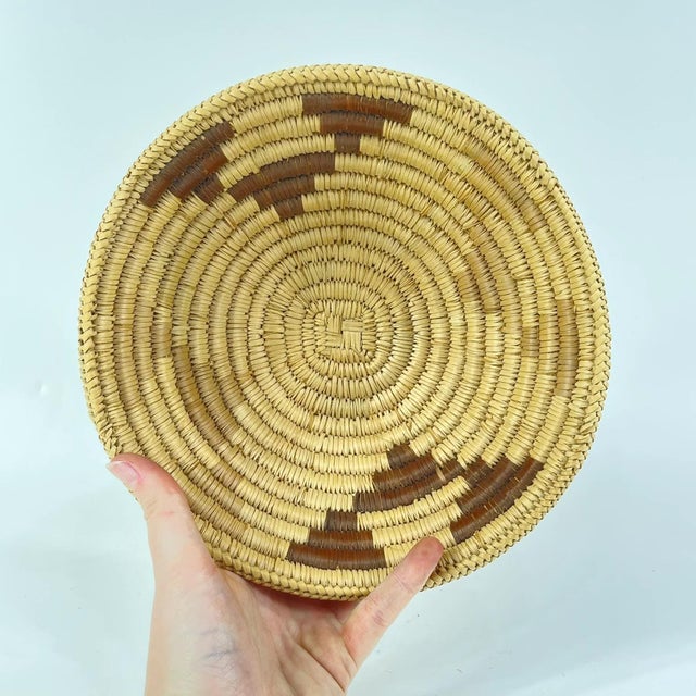 Early 20th Century Tonga Basket Zambia 8inch Snake Belly Edge MATTER COLLECTION For Sale - Image 4 of 8