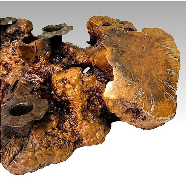 Mid 20th Century Large Burl Wood Candelabra Table Centerpiece / Candle Holder For Sale - Image 5 of 9