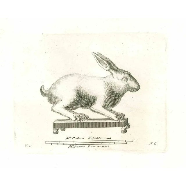 Ancient roman statue, from the series "antiquities of herculaneum", is an original etching on paper realized by vincenzo...